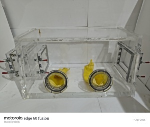 Caja de Vacío de Acrílico para Laboratorio con Garantía de 1 Año, Cámara de Vacío de Vidrio Orgánico para Protección con Gas Inerte - Product Image 2