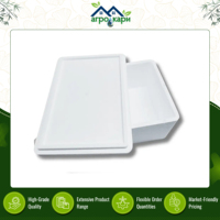 Contenedor Térmico Aislado para Transporte de Alimentos Congelados y Uso Médico, Ecológico, Impermeable, Reciclable, Ligero, con Protección Térmica de EPS, 6 Litros