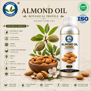 Huile de support d'amande pressée à froid Prunus Amygdalus Dulcis - Pour mélanges d'aromathérapie de qualité industrielle - Du Madhya Pradesh - Product Image 3