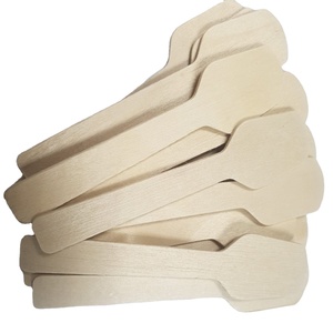 Cuillère en bois jetable écologique Manglietia Conifera 16mm pour crème glacée vaisselle et vaisselle toutes occasions - Product Image 1