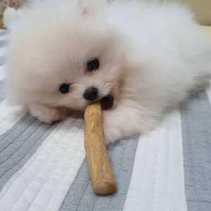 Venta al por mayor 100% palitos de madera inspirados en café natural juguetes masticables para mascotas para el cuidado bucal de los perros - Product Image 1