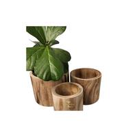 Pot de plante en bois aux lignes épurées et finition naturelle, idéal pour les intérieurs minimalistes, rustiques et Japandi