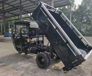 Triciclo Agrícola de Carga Pesada para Adultos, de 3 Ruedas, con Cabina y Motor de Gasolina, Trimoto - Product Image 3
