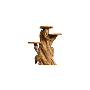 ARTERRA Support de Présentation en Bois Massif Artisanal Rustique en Racine de Teck Bio de Luxe pour Décoration Intérieure/Extérieure - Idéal Diwali - Product Image 2