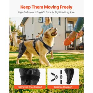 Attelle de genou réglable pour chien pour le soutien du ligament croisé antérieur et le soulagement de la douleur à l'arrière-tréteau - Product Image 2