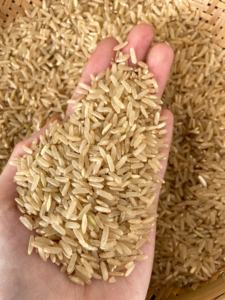 ข้าวกล้องออร์แกนิกเวียดนามคุณภาพดีที่สุดอุดมไปด้วยวิตามินและทางเลือกที่ดีต่อสุขภาพ-จำหน่ายจำนวนมากสำหรับตลาดโลก-Joice(WA) + 84 901446064 - Product Image 6