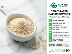 Poudre d'ail déshydratée de qualité alimentaire à mailles fines pour la transformation de la viande, la boulangerie, les aliments instantanés et les mélanges d'épices - Product Image 6