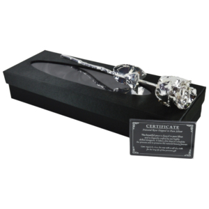 Top Trending Silver Dipped Finishing Real Rose With Highly Design and Luxury <b>Box</b> Packing Best for <b>Gift</b> Valentines Day <b>Gift</b> - Product Image 2