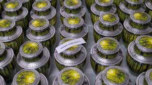 โกศโลหะสำหรับบรรจุอัฐิ รุ่น Forest Serenity - โกศขนาดใหญ่สำหรับผู้ใหญ่ - ผู้ผลิตขายส่งอุปกรณ์โกศสำหรับจัดงานศพ - Product Image 2