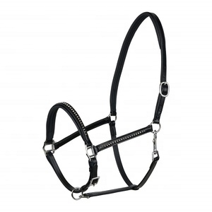 Licol en cuir pour cheval, réglable, rembourré, avec système de sécurité, de qualité supérieure, collier de tête, design arabe, imperméable, Kanpur, Inde - Product Image 3