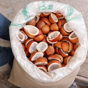 COPRA DE COCO DE CALIDAD DE EXPORTACIÓN DE VIETNAM - PRECIO COMPETITIVO/ SRA. ALINA - Product Image 5