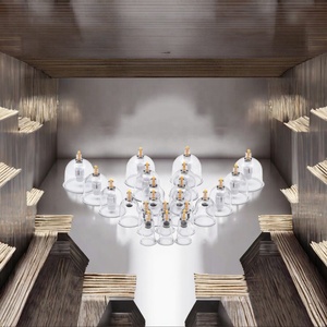 Meilleures ventes 2026 : Kit de ventouses jetables traditionnelles chinoises pour thérapie Hijama, en promotion pour le corps, certifié CE EUDAMED - Product Image 2