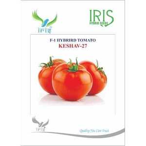 IRIS Hybrid Vegetable <span class=keywords><strong>F1</strong></span> Hybrid Keshav 27 Semences de tomates cerises fraîches Variété de tomates fraîches - Product Image 1