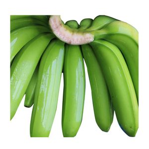 Bananes Cavendish vertes, produits frais de ferme de qualité supérieure pour la production de chips, la cuisine et la vente en gros - Product Image 1