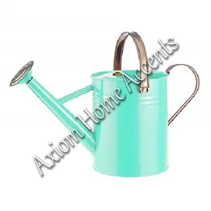 Arrosoir élégant et moderne en argent pour la décoration artisanale des plantes d'intérieur et suspendues par Axiom Home Accents Design - Product Image 6
