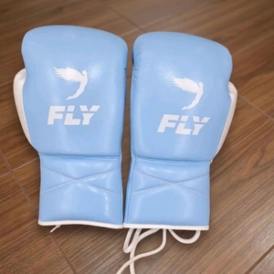 ถุงมือชกมวยสำหรับฝึกซ้อม รุ่น Professional Pro Fighting Fly สีน้ำเงินขาว หนังวัวแท้ สายรัดข้อมือปรับได้ รุ่น AI-BG-515 - Product Image 1