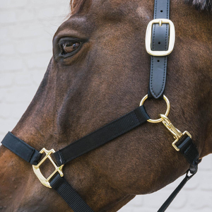 Equestrian Sports Products Horse Nylon <b>Halters</b> Customized Sizes Available in Cheap Price in Pakistan - Product Image 2