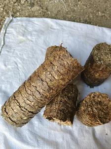 Briquettes de sciure de bois compressées en gros – Combustible biomasse renouvelable à faible humidité, longue durée de combustion, pour l'industrie de l'énergie - Product Image 5