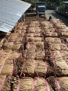 เชือกผักตบชวาถักแบบดิบธรรมชาติจากเวียดนาม ราคาดีที่สุด ปี 2026 สำหรับงานหัตถกรรม ผลิตภัณฑ์ทอ และอุปกรณ์ตกแต่งภายใน - Product Image 3