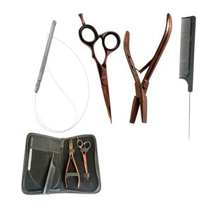 Kit de Herramientas Premium para Extensiones de Cabello con Logotipo Personalizado, Micro Anillos, Aguja de Bucle, Tubo, Alicates, Acero Inoxidable Profesional - Product Image 1