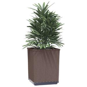 Planters by Planters Lot de 2 pots et jardinières marron en polypropylène 11,8"x11,8"x14,6" - Product Image 3