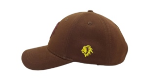 Gorra de Béisbol Personalizada al por Mayor con Logotipo, Gorra de Algodón Estilo Dad Hat, Bordado 3D de León, Gorra Deportiva OEM/ODM, Hebilla Ajustable, Diseño Gráfico Personalizado - Product Image 2