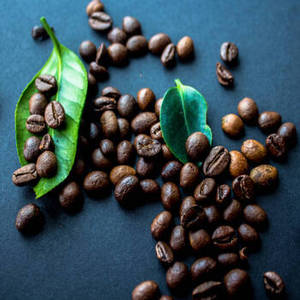 เมล็ดกาแฟอินเดียคัดสรรคุณภาพพรีเมียมจากฤดูกาลใหม่ สดใหม่จากสวน เหมาะสำหรับผู้ซื้อระดับโลกที่มองหาสินค้าพิเศษที่เชื่อถือได้ - Product Image 2