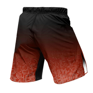 Pantalones Cortos de Entrenamiento de MMA Sublimados, Transpirables y Ligeros, para Muay Thai y MMA - Product Image 2
