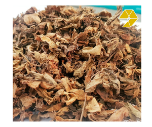 Hojas de Mesona Orgánicas Secas de Vietnam para Bebidas Refrescantes, Postres de Gelatina y Gelatina de Hierba Negra Seca - Product Image 1