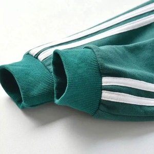 Conjunto Deportivo Verde para Niños Unisex, Manga Larga, Cuello Redondo, Color Sólido, Informal, con Bolsillos Laterales, Conjuntos Deportivos para Niños de Otoño - Product Image 5