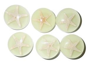 Cabochon Starfish Round 25x25 mm on Glow Flat Bottom for Crafts and Jewelry Making - Product Image 6