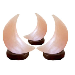 Lampe de sel de l'Himalaya en forme de lune 2025, design personnalisé OEM, vente en gros, 100% faite à la main, base en bois, émail naturel, technique de sculpture - Product Image 4