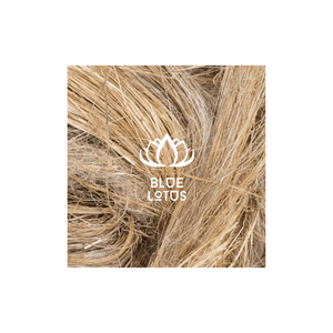 VENTA RÁPIDA Fibra de Plátano Ecológica, Segura y Limpia 2026, Material Vegetal Puro, Ideal para la Fabricación de Papel y Cuerdas, Precio de Venta Directa al Por Mayor - Product Image 1