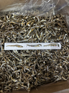 ปลาแอนโชวี่ตากแห้ง อาหารทะเลธรรมชาติ รับผลิตแบบ OEM ODM - Product Image 4