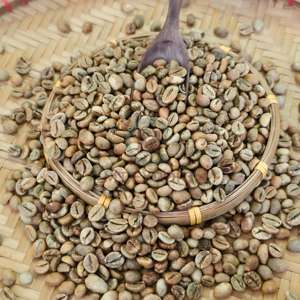 โรบัสต้าเมล็ดกาแฟเกรด A + ขนาด16เมล็ดพืชใหม่ผลิตจากเวียดนาม13% ความชื้นสูงสุด - Product Image 5