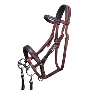 Handcrafted Leather English <b>Style</b> Horse Bridle with Adjustable Straps and Secure Control 2x3x2m Size - Product Image 3
