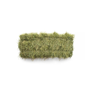 High Quality Natural Rhodes <b>Grass</b> Hay Feed Grade <b>Dried</b> Agricultural Feed Material 2 Year Shelf Life Top Grade Livestock Pig Use - Product Image 2