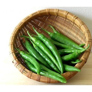 Premium Farm <b>Fresh</b> Green Chillies Natural Spicy Flavor Export Quality 4.5kg Carton Box <b>Fresh</b> <b>Vegetable</b> Kitchen Essential Best - Product Image 2