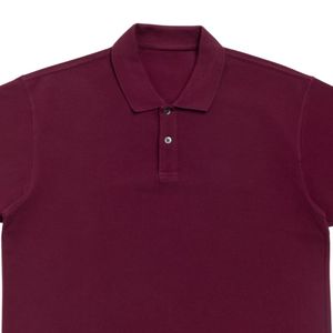 Men's Polo Shirt <b>Classic</b> Casual Short Sleeve Collared T Shirt Cotton Top Wholesale Custom Blank Polo Shirts for Summer Outdoor - Product Image 3
