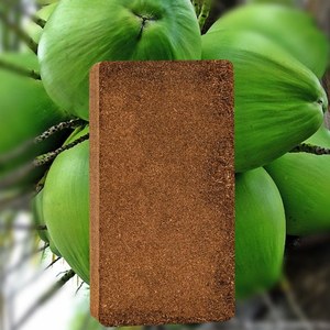 Triple Washed 650gm Biodegradable Coconut Peat Briquette with Low & High EC for Hydroponics Garden Plant Use - Product Image 4