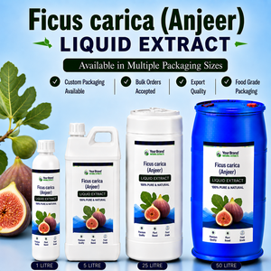 Extracto Líquido de Ficus Carica (Anjeer), Suplemento Líquido Oral Herbal Natural a Base de Plantas, Grado Alimenticio, Suministro a Granel, Empaque Personalizado - Product Image 1