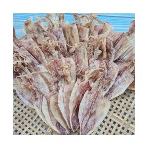 CALAMAR SECO EN ROLLOS 2026, EN OFERTA, PARA UN DELICIOSO SNACK O PARA COCINAR SOPAS, MARISCOS FRESCOS, LIMPIOS Y SEGUROS, CALIDAD DE EXPORTACIÓN - Product Image 3