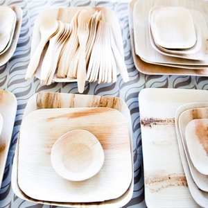 Plateau carré jetable écologique en feuille de palmier de 7 pouces pour festivals culinaires, restaurants en plein air, cafés et fournitures de traiteur - Product Image 1
