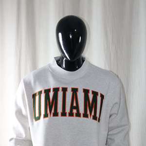 Sweat-shirt en molleton gris cendré UMIAMI à col rond, 100% coton, broderie appliquée, coupe ample unisexe, Info.fzyps Sports - Product Image 3
