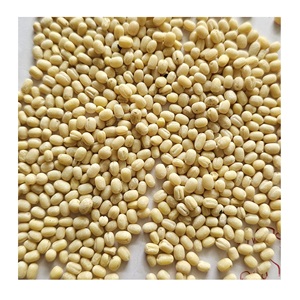 Protéine d'Urad blanche entière indienne séchée, élégante et de qualité supérieure, facile à cuisiner, 30 kg en vrac, nouvelle récolte à prix avantageux - Product Image 3