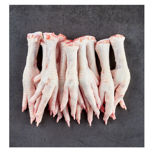 Proveedor Mayorista de Patas de Pollo Halal / Patas de Pollo Congeladas - Product Image 5