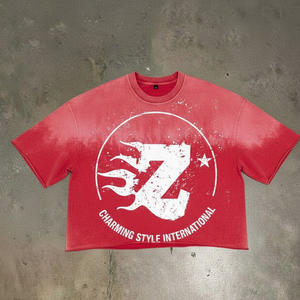 Camisetas de Alta Calidad 100% Algodón con Logotipo Personalizado, Camisetas Lisas Estampadas con Logotipo, Camisetas Unisex de Talla Grande para Hombre - Product Image 1