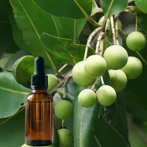 Huile de Tamanu Biologique en Gros, Pressée à Froid, Huile Essentielle Pure à 100% pour Soins de la Peau, Matière Première Cosmétique, Tous Types de Peau - Product Image 6