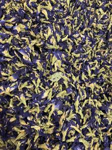 Thé aux fleurs de pois papillon VIET DELTA, thé spécial du Vietnam, couleur éclatante, parfum agréable, emballage en vrac, John +84 948844359 - Product Image 3
