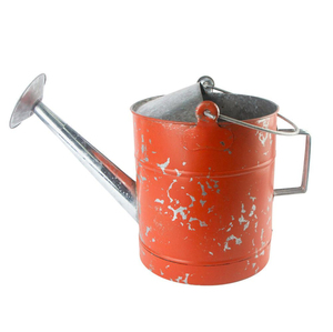 Regadera de Metal Estilo Rústico, Regadera de Acero Galvanizado Estilo Antiguo para Plantas de Interior y Exterior al Precio Más Bajo - Product Image 5